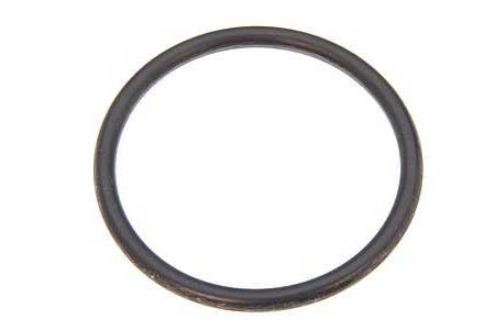 Mercedes W460 Fuel Sender Unit O-Ring.